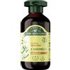 Antica erboristeria laboratorio natura Antica Erboristeria - Shampoo Delicato alla Camomilla, Formula Vegan e Senza Sil
