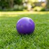 Palla di Spugna Morbida Pallina di Schiuma Morbido per Giardino