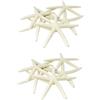 No 24 PZ Starfish Bianco da Dito 5-10cm Starfish A Cinque U5G45518
