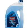 AREXONS Liquido Lavavetri Pluristagione Arexons DP1 Sgrassante Repellente + Inbuto 4,5L