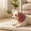 Cappuccio Paraorecchie per Cani Elastico Confortevole