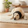 Cappuccio Paraorecchie per Cani Elastico Confortevole