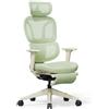 FLEXISPOT Sedia da ufficio ergonomica BS5LG-M2, con poggiapiedi, verde - N