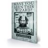 Pyramid International Harry Potter Sirius Wanted Wood Print, Multi-Colour, 40 x