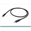 DAP Audio DAP FL113 - Da USB-C a mini-jack Stereo Cavo da USB-C a mini-jack Stereo, 1,5mt