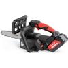 Motosega da Potatura Blue Bird 887400 THCS 22-07 21V Barra 20 cm con 2 Batterie