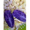 BERGERAC PATATE VIOLA BERGERAC 3KG GOURMET O SEMINA RICCHE DI ANTIOSSIDANTI SPED GRATIS