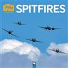 Flame Tree Publishing Imperial War Museums: Spitfires Wall Calendar 2027 (Art Calendar)