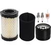 No 796031 594201 Kit Filtro Aria per e Stratton 590825 591334 D100 D114847