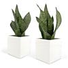 Vimin Box Set 2 pcs, Vasi Quadrati in Ceramica, per Interni, Bianchi, per