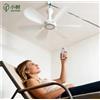 dictrolux Ventilatore a soffitto diametro 90cm 23W attacco USB silenzioso e pratico
