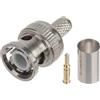 DIPOL Connettore a crimpare BNC-W75/ZAC-RG59*P10