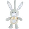 Chicco Peluche Coniglietto Polvere di Stelle (22cm) FIRST DREAMS 00011129000000