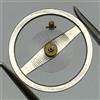 Brac 300 301 Bilanciere Completo E Molla 1604 Movimento Orologio Parti NOS