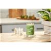 Yankee Candle Signature Große Kerze im Glas VANILLA LIME 567g
