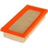 Fram CA3903 Filtro Aria Stesso Come: A875C AFL-875 FA-1060 FA1093 6138 A14346