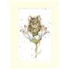 Bothy Threads - Kit di biglietti di auguri a punto croce - Wishes Just for You