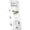 Click and Grow Click & Grow, Ricambio Vasi di Terriccio di Rosmarino, Confezione con 3 Capsule