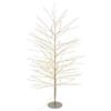 Lotti Albero luminoso Champagne 1 gioco di luce (H170 D105 cm) TIGLIO 784 luci - MICR