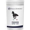 FARMACIA VETERINARIA Podocrin Zinco + Biotina Integratore Cavalli 1 Kg | Favoris
