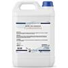 Sanifarma Sapone Mani Igienizzante Clorexidina 5 Lt - Sanifarma