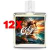 T.F.S Torino 12 X TFS dopobarba Calypso 100ml
