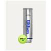 Wilson Confezione 12 tubi da 4 palline Tour Premier All Court
