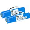 vhbw 2x Batteria per Fluke Scopemeter 196C 199B 199C 192 196 192B 199 196B 3600mAh