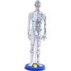 Modello Di Agopuntura Medica Cinese In PVC, Supporto Didattico, Modello