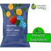 Wefert FUNGICIDA BORDOLESE POLTIGLIA 4 KG verderame POLTY 200 rame in polvere BORO