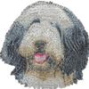 Art-Dog Bearded Collie, Highland Collie - toppa a forma di cane, toppa ricamata, decoraz