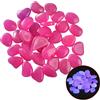 Macrohu 50pcs Pietre da Giardino per Decorazione Pietre Luminosi Pietre per Acquario Ghi