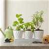 Per Orchidee e Succulente Vasi per Piante con Drenaggio 48 Fori di Drenaggio Des