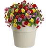 HowHomely Vaso da fiori SILVA LINE in plastica riciclata, beige, altezza 17,4x20 cm.