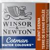 Winsor & newton WN Acquerello Cotman 1/2 Godet Terra di Siena Bruciata