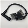 Bobina di Accensione per Motori 20A-79431-01 di Ricambio ROBIN EX13 EX17 EX21