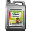 Papillon OLIO Lubrificante per Catena Motosega NEW BIOFIL 70S 5 Lt