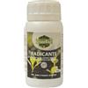 GREENWALL Radicante in polvere - gr.50 in flacone - Conf. 6 Pezzi