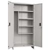 DFL ARMADIO ARMADIETTO PORTASCOPE PRATIKO IN LAMIERA VERNICIATO CM 100x40xH175