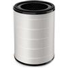 Philips Ricambio Philips Nano Protect Integrated Hepa & Active Carbon serie 2000