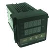 REX-C100 Termostato Digitale PID con Uscita SSR Sonda temperatura