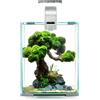Aquael Nano acquario Aquael Shrimp Set Smart Day&Night 10 Lt 20x20x26 accessoriato