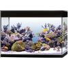 Askoll Acquario marino Askoll Pure Marine XL HC LED 130 Lt 76x36x57h nero completo