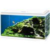 Ciano Acquario Ciano Aqua 60 LED 58 Lt 60x30x32h vasca completa di filtro