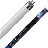 ATI Actinic Neon T5 New Generation