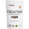 ProFuel Creatina monoidrata polvere 1kg / 1000g micronizzata ad alto dosaggio pura senza