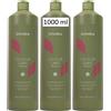 ECHOS SHAMPOO COLOUR CARE DOPOCOLORE CAPELLI COLORATI TRATTATI ECHOSLINE 3X1000M