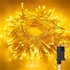 Hoteril Catena Luminosa Esterno con Spina 8+2M 80 LED Luci Natale Led da Esterno