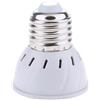 E27 LED Grow Light Lampadine Full Spectrum Grow Lamp Per Piante Da Interno 220V