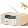 LONPOO Impianto Stereo Casa 30W Micro HiFi Compatto con lettore CD Bluetooth